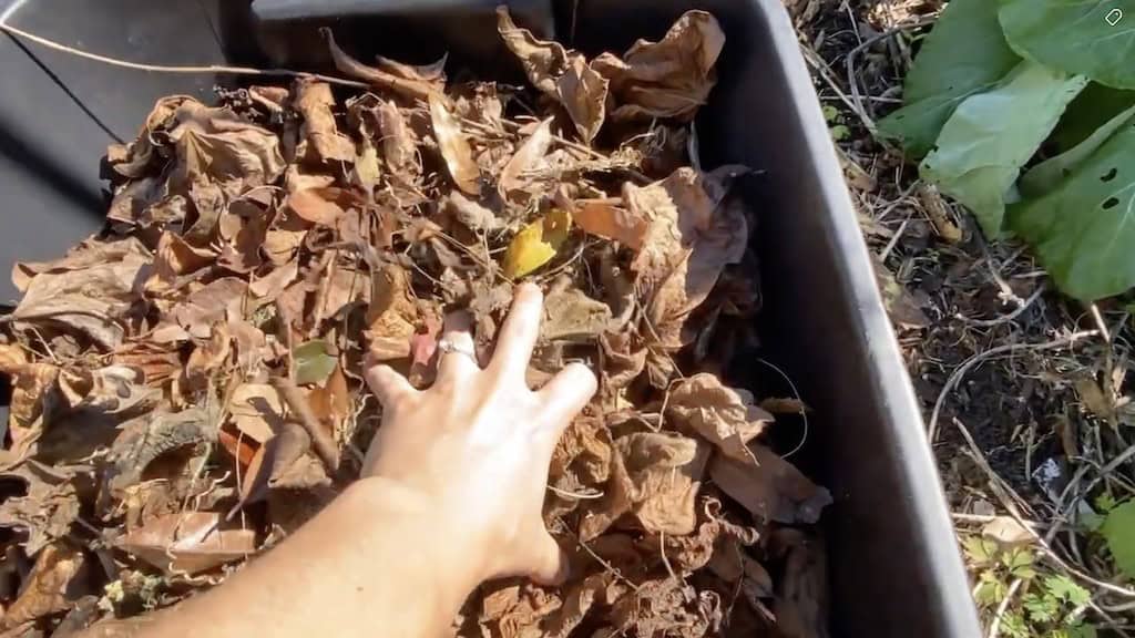 Leaf Mulch